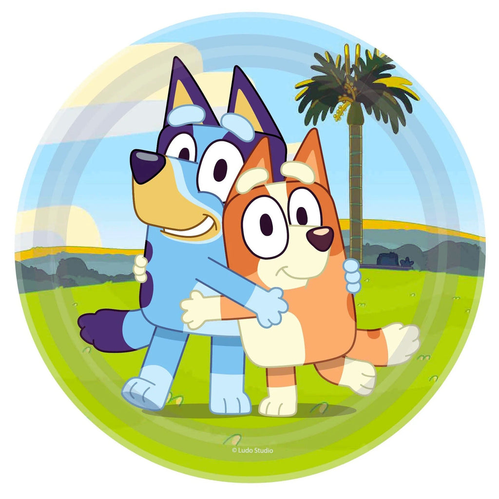 Bluey and bingo paper plate