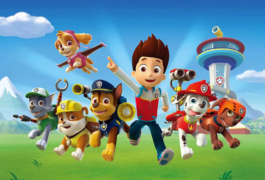 Paw Patrol Party Magic! Lets start with the Perfect Chair Colours