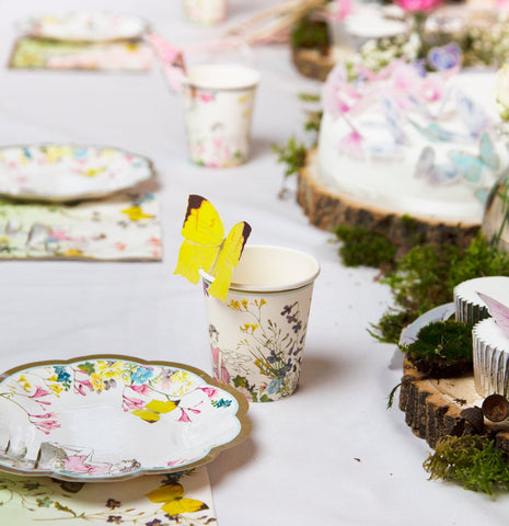 Fairy fantasy party