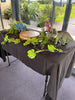 Dinosaur Party Package