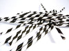Paper Straws