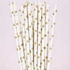 Paper Straws