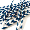 Paper Straws