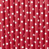 Paper Straws